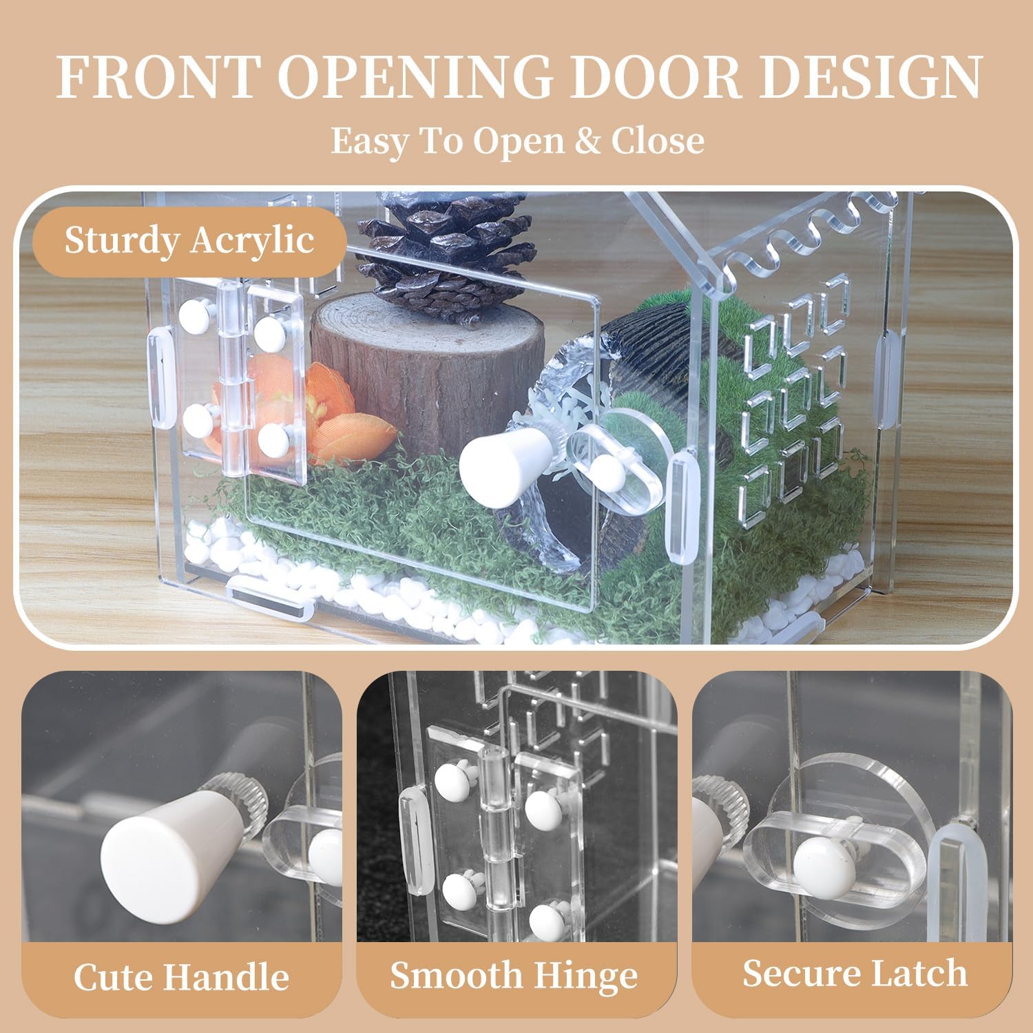 Jumping Spider Enclosure for Small Species, Acrylic Reptile Terrarium Habitat with Feeding Hole for Tarantulas, Praying Mantis, Gecko,Insects, Hermit Crab, Lizard, Snails Isopods - 6"*4"*6"