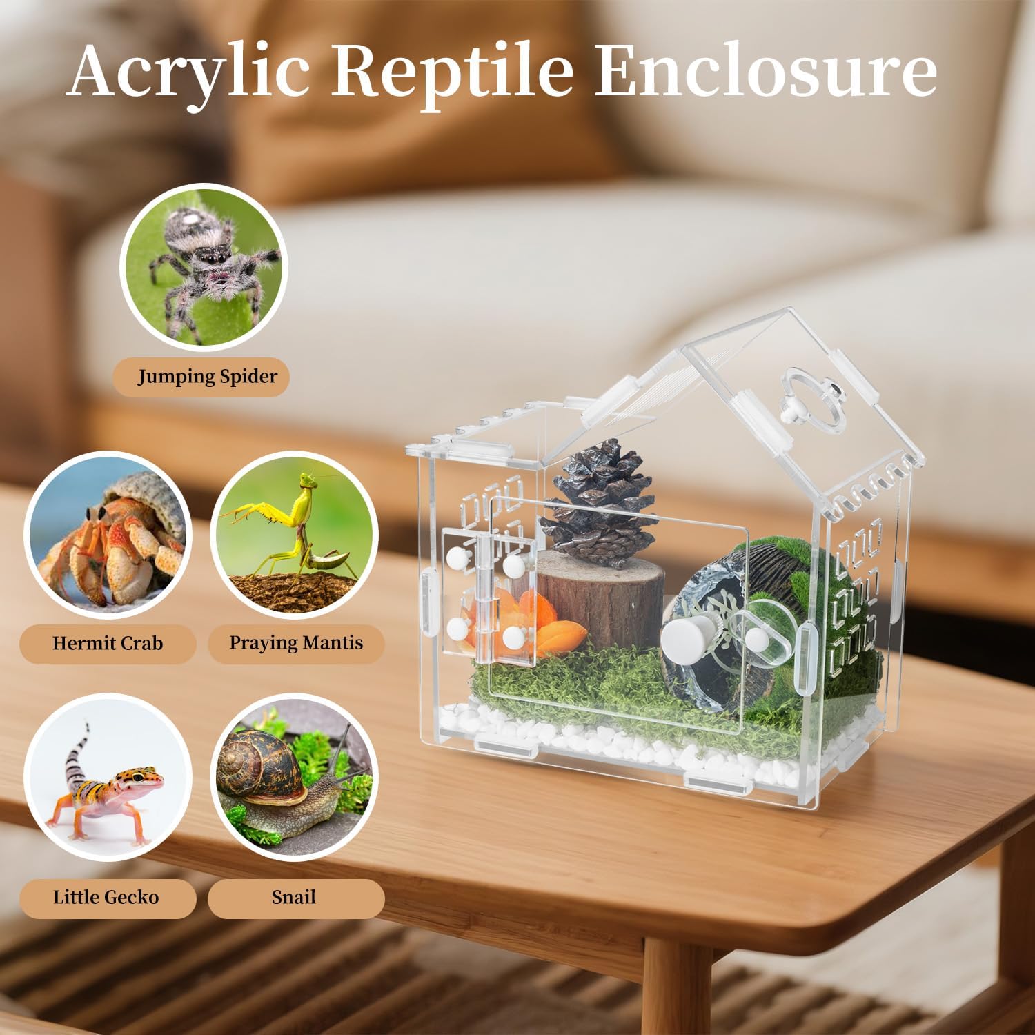Jumping Spider Enclosure for Small Species, Acrylic Reptile Terrarium Habitat with Feeding Hole for Tarantulas, Praying Mantis, Gecko,Insects, Hermit Crab, Lizard, Snails Isopods - 6"*4"*6"