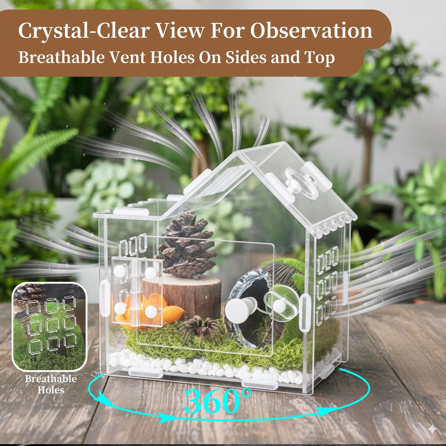 Jumping Spider Enclosure for Small Species, Acrylic Reptile Terrarium Habitat with Feeding Hole for Tarantulas, Praying Mantis, Gecko,Insects, Hermit Crab, Lizard, Snails Isopods - 6"*4"*6"